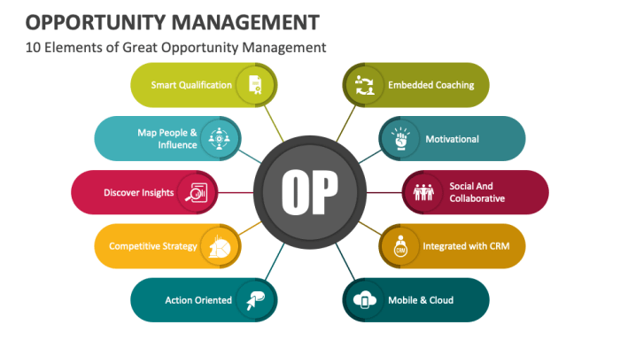 Opportunity Management